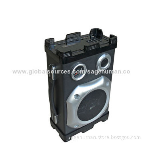 Subwoofer Bluetooth Speaker with LED Light, Karaoke Function